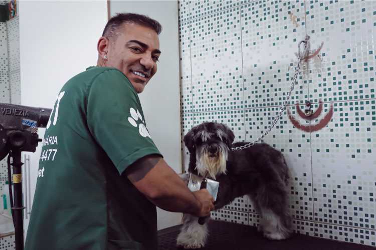 Banho e Tosa 24 Horas - Hospital Veterinário São Paulo Clinica